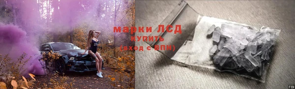 ПСИЛОЦИБИНОВЫЕ ГРИБЫ Елабуга