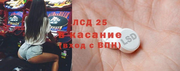 ПСИЛОЦИБИНОВЫЕ ГРИБЫ Елабуга