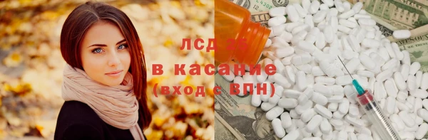 ПСИЛОЦИБИНОВЫЕ ГРИБЫ Елабуга