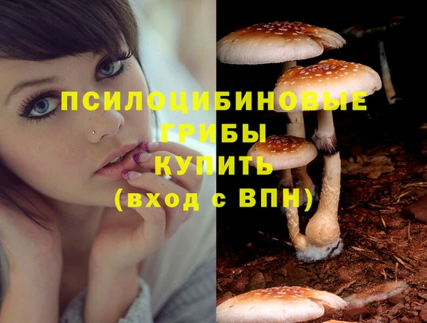 МДПВ Елизово