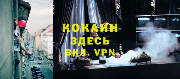 ALPHA PVP Ельня