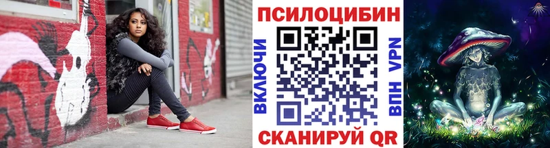 Купить закладки  Закаменск  Псилоцибиновые грибы Psilocybine cubensis 